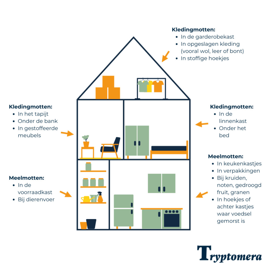 Meelmotten in huis, veelvoorkomende plekken